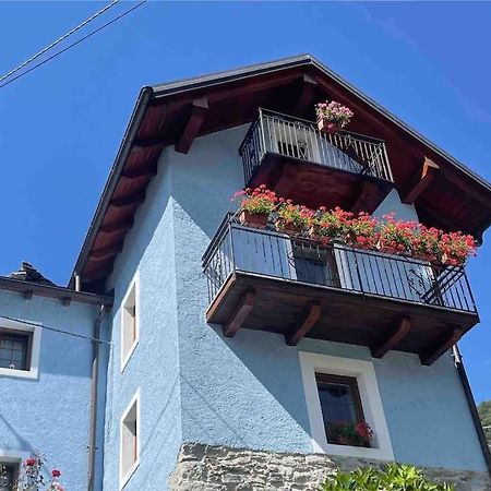 Casa Del Cios Calda E Intima Casetta Immersa Nel Verde Delle Montagne Alpe Basciumo Eksteriør billede