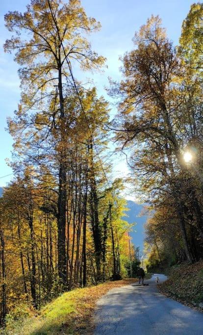 Casa Del Cios Calda E Intima Casetta Immersa Nel Verde Delle Montagne Alpe Basciumo Eksteriør billede