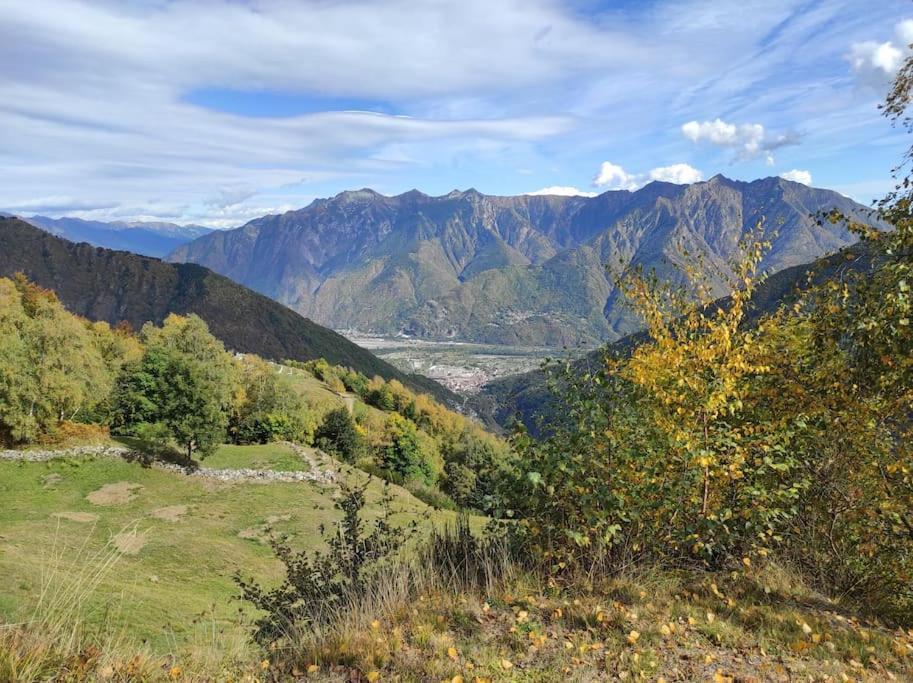 Casa Del Cios Calda E Intima Casetta Immersa Nel Verde Delle Montagne Alpe Basciumo Eksteriør billede