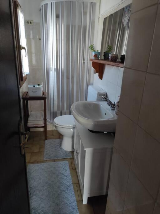 Casa Del Cios Calda E Intima Casetta Immersa Nel Verde Delle Montagne Alpe Basciumo Eksteriør billede