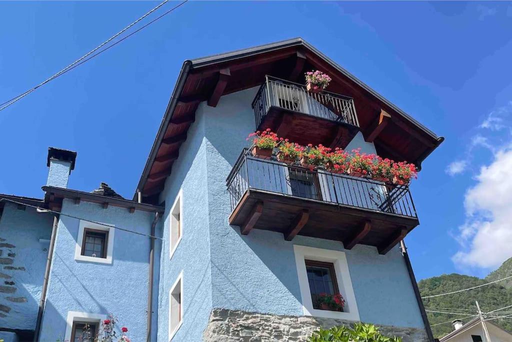 Casa Del Cios Calda E Intima Casetta Immersa Nel Verde Delle Montagne Alpe Basciumo Eksteriør billede