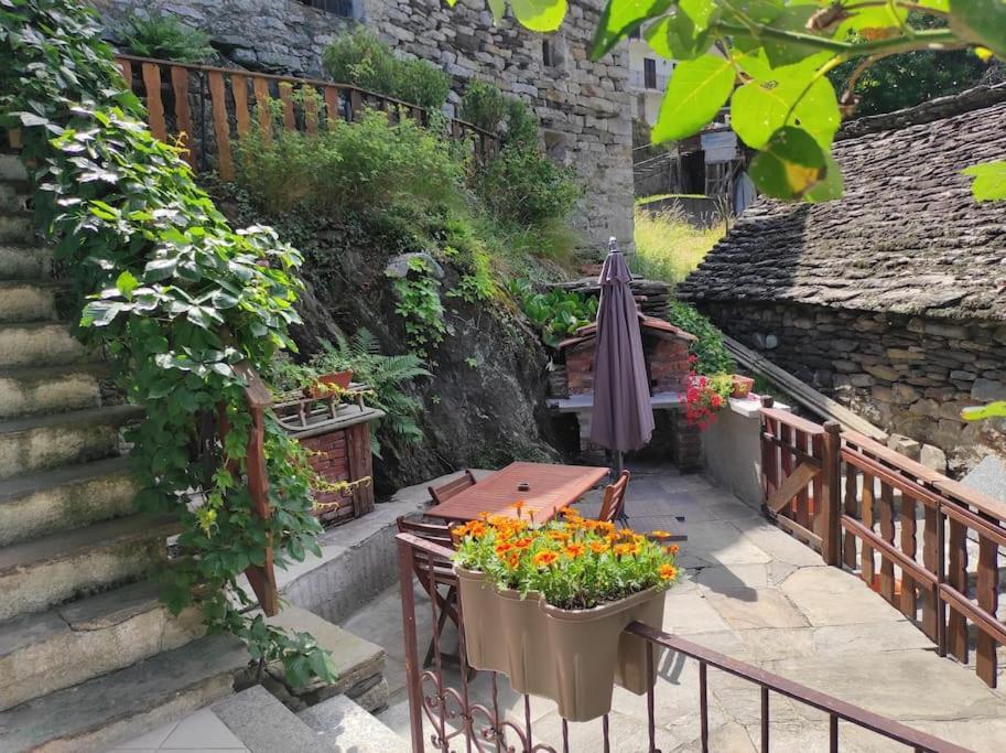 Casa Del Cios Calda E Intima Casetta Immersa Nel Verde Delle Montagne Alpe Basciumo Eksteriør billede
