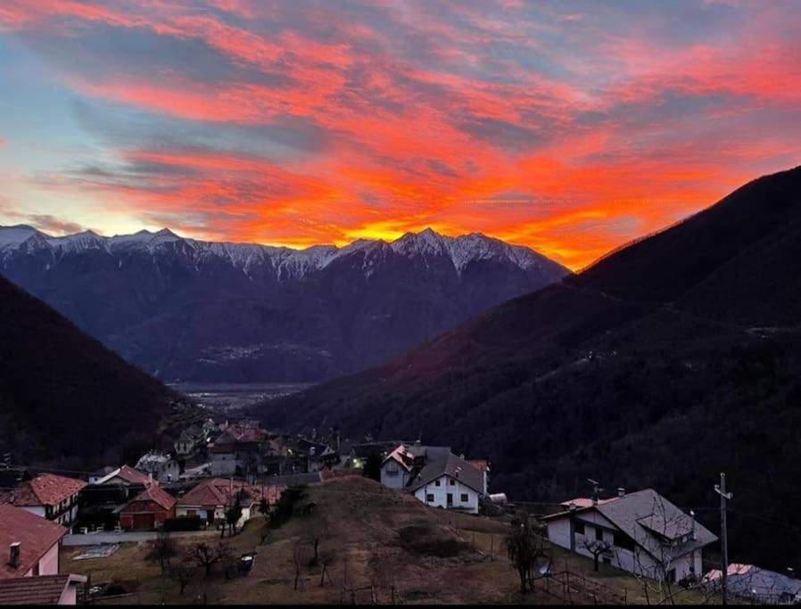Casa Del Cios Calda E Intima Casetta Immersa Nel Verde Delle Montagne Alpe Basciumo Eksteriør billede
