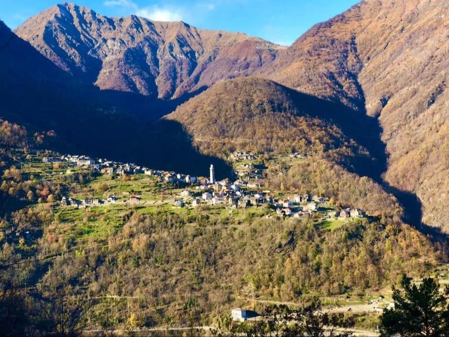 Casa Del Cios Calda E Intima Casetta Immersa Nel Verde Delle Montagne Alpe Basciumo Eksteriør billede