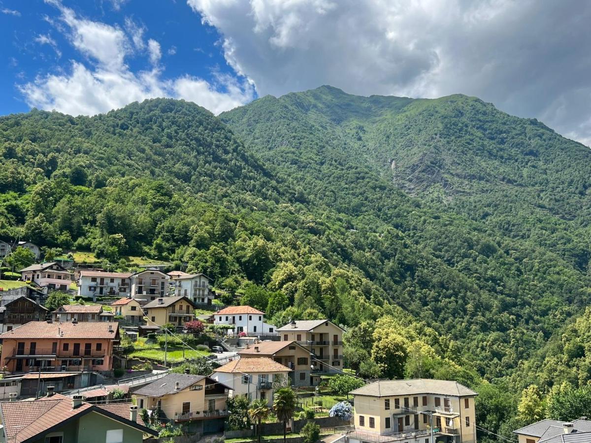 Casa Del Cios Calda E Intima Casetta Immersa Nel Verde Delle Montagne Alpe Basciumo Eksteriør billede